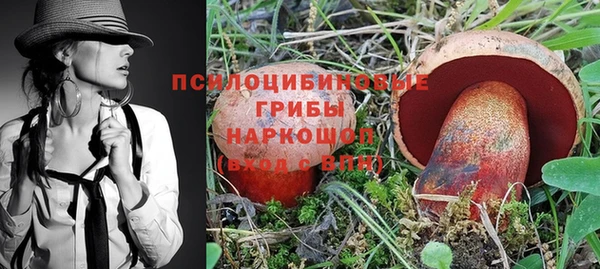 спайс Горнозаводск