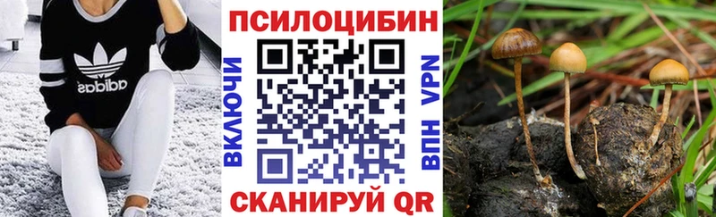 купить наркоту  Похвистнево  мега ONION  Псилоцибиновые грибы GOLDEN TEACHER 